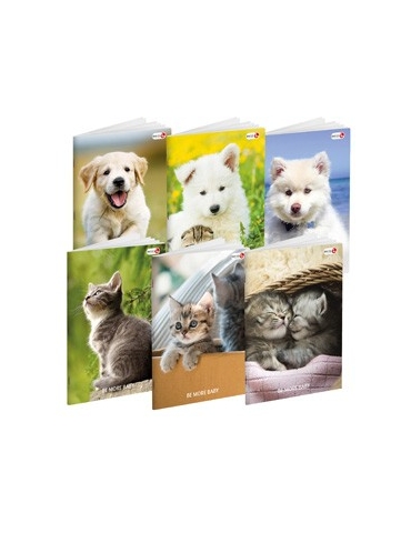 Maxiquaderno A4 36fg+2...