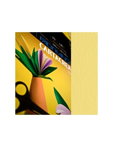 Blister 10fg cartoncino...