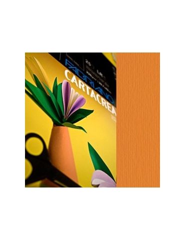 Blister 10fg cartoncino...