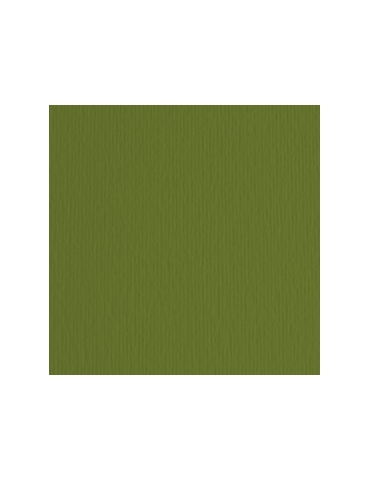 BLISTER 10FG CARTONCINO...