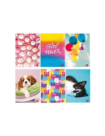 Maxiquaderno A4 40fg+2 80gr...